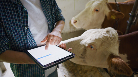 MLA launches project to help boost WA beef businesses