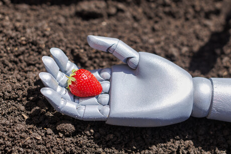 New wave system for picking fruit