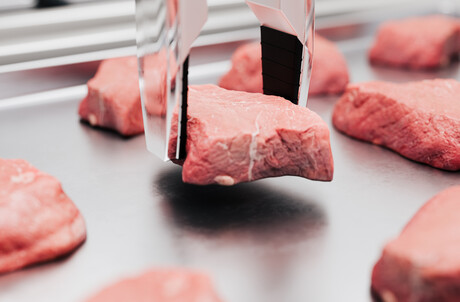Beefing up the flavour of cultured meat
