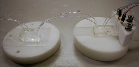 HIV monitoring on a chip