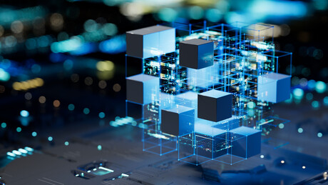 Wild Tech aims to help enforce AI governance