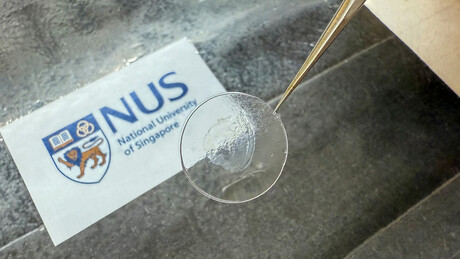 Biomaterial helps to reverse aging in the heart