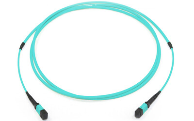 WBT HypaFOX MTP/MPO Patch Cords