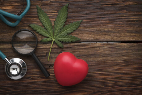 Cannabis use may double risk of cardiovascular disease death