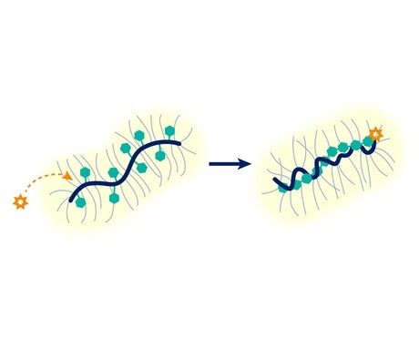 &#39;Molecular flask&#39; created for polymer chemistry