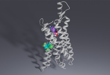 Novel drug candidates found for nerve pain and ischemic disease Novel drug candidates found for nerve pain and ischemic disease