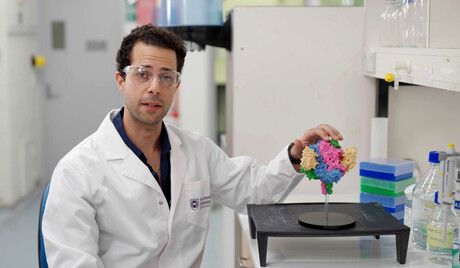 Tiny antibody found to neutralise Hendra and Nipah viruses