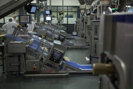 Cheese exporter upgrades inspection system on its grated cheese lines Cheese exporter upgrades inspection system on its grated cheese lines