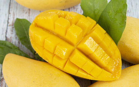 Post-harvest tech to extend storage life of mangoes&nbsp;