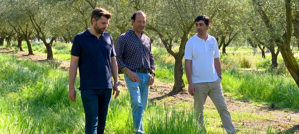 Olive oil mill upgrade quadruples processing capacity
