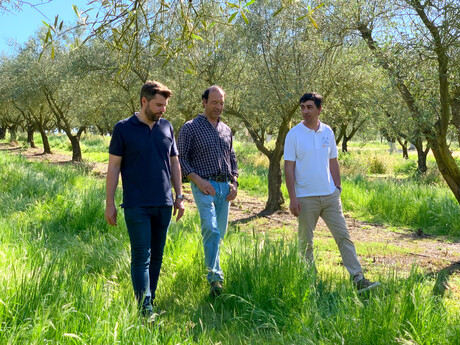 Olive oil mill upgrade quadruples processing capacity