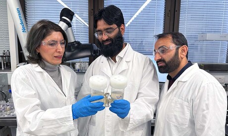 Wastewater contaminants can boost hydrogen production: research