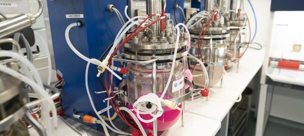 Bioplastic alternative may hold key to ending plastic waste