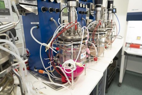 Bioplastic alternative may hold key to ending plastic waste Bioplastic alternative may hold key to ending plastic waste