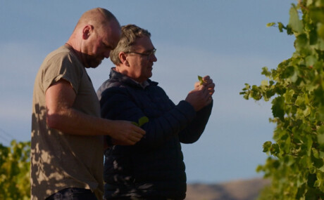 Sequencing tech could transform NZ viticulture Sequencing tech could transform NZ viticulture