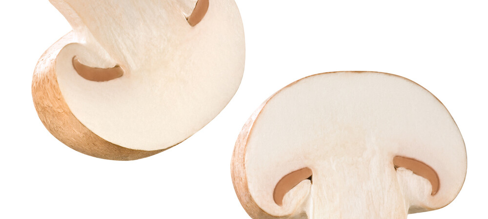 Perfect Automation trials sustainable mushroom packaging film