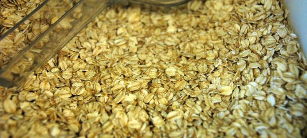Low-oil oat grain breeding to aid industry growth: study