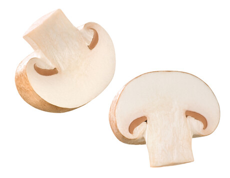 Perfect Automation trials sustainable mushroom packaging film