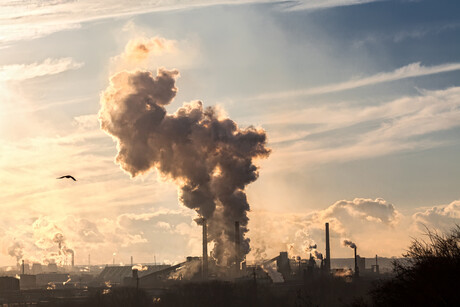 ARENA backs Calix green steel demonstration plant