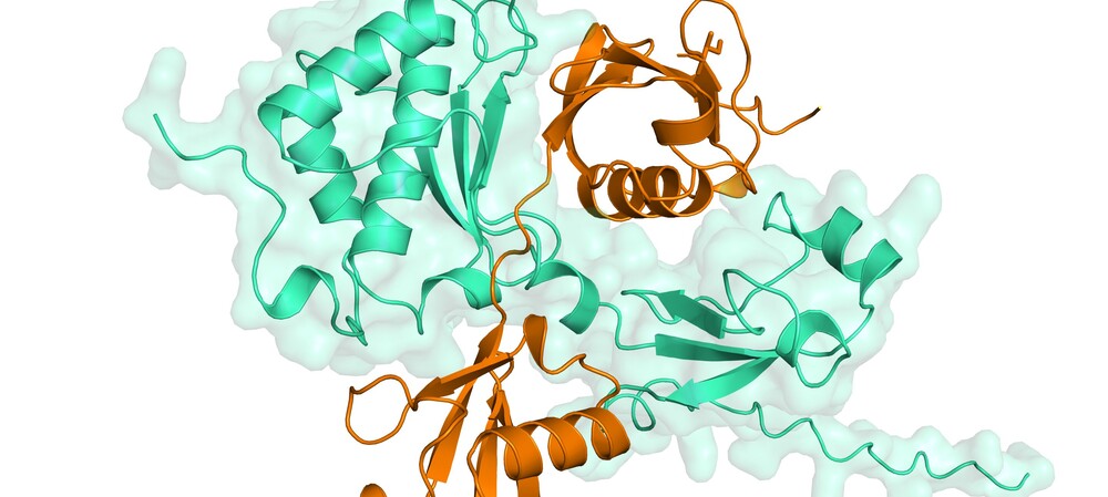 How cells repair toxic DNA damage