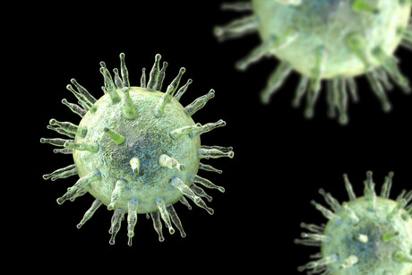 Blood test predicts future development of MS Blood test predicts future development of MS