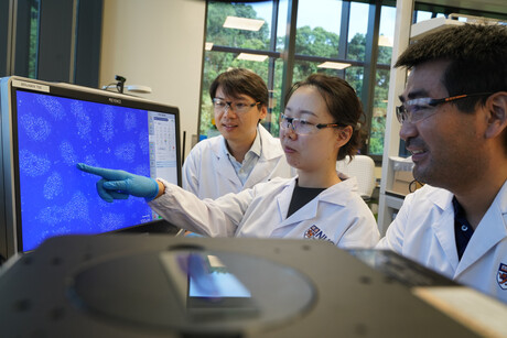 Novel material enables real-time water quality monitoring Novel material enables real-time water quality monitoring