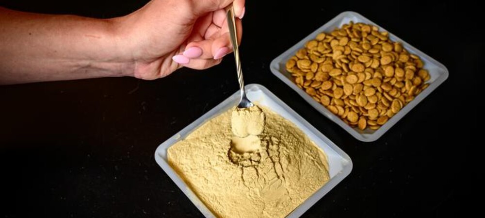 Brewing up a novel pet food using precision fermentation