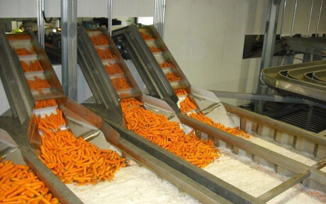 Wet Bunker Storage system for Moffatt Fresh Produce