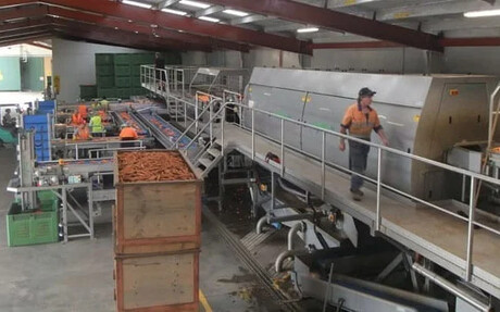 Carrot line upgrade results in increased demand for the product Carrot line upgrade results in increased demand for the product