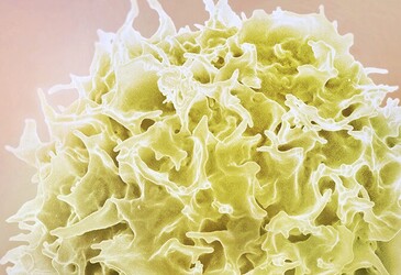 HIV drugs suppress transmission of a different viral infection