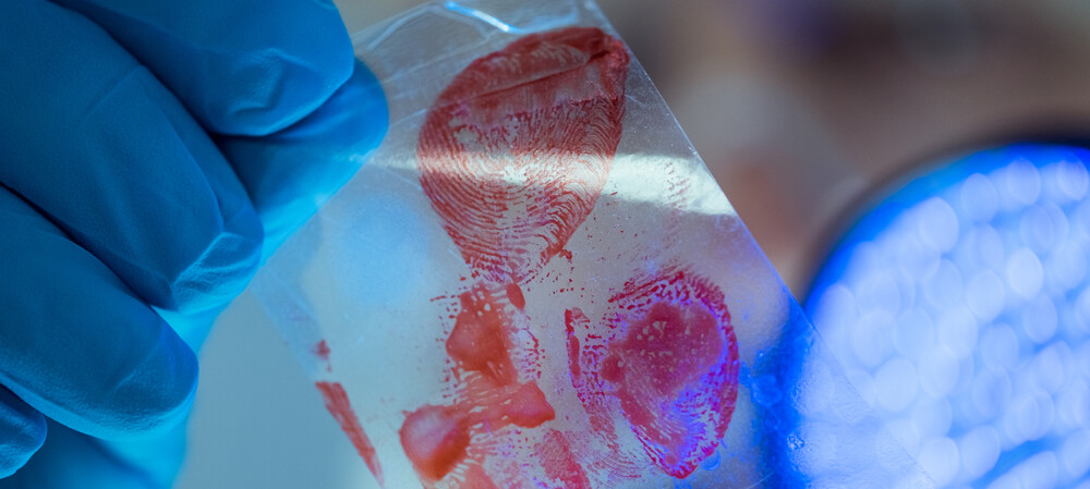 &quot;Damning&quot; review of Forensic Science Queensland released