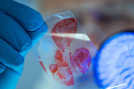 "Damning" review of Forensic Science Queensland released "Damning" review of Forensic Science Queensland released