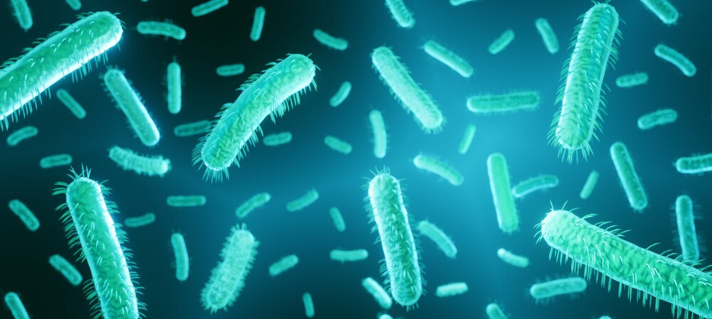 Optimising antibiotics by capturing bacteria
