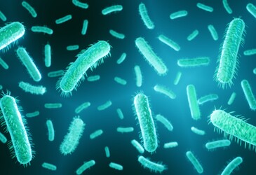 Optimising antibiotics by capturing bacteria