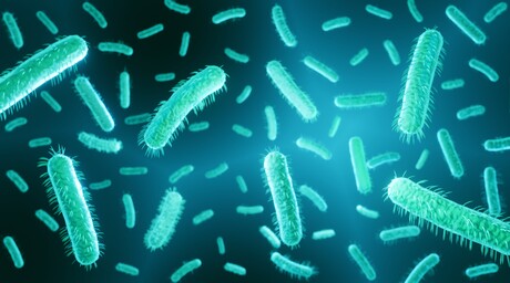 Optimising antibiotics by capturing bacteria