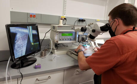 Precise measurement of radioactivity in tiny samples