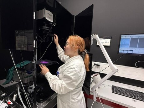 3D temperature mapping inside living tissue