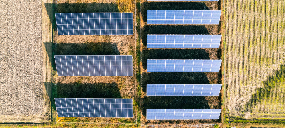 Boosting agrivoltaics in Japan