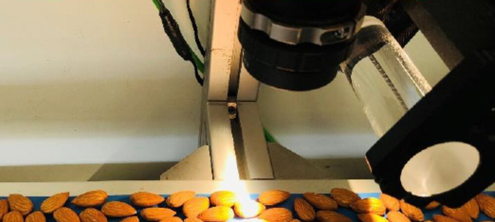 Could AI prevent food poisoning?