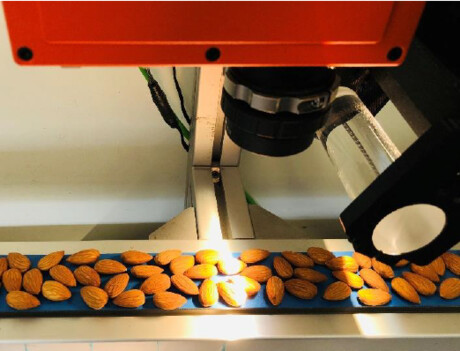 Could AI prevent food poisoning?