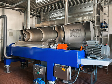 Portuguese olive mill quadruples EVOO capacity Portuguese olive mill quadruples EVOO capacity