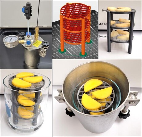 New method dehydrates fruit without heat