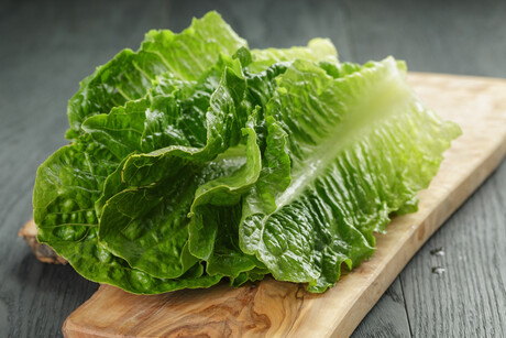 <em>Listeria </em>on lettuce — you can wash but you can't eliminate <em>Listeria </em>on lettuce — you can wash but you can't eliminate