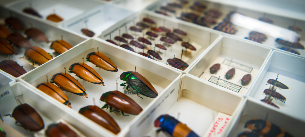 New CSIRO facilities support biodiversity, membrane research