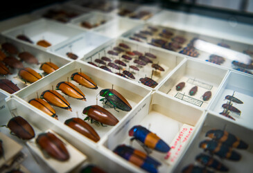 New CSIRO facilities support biodiversity, membrane research