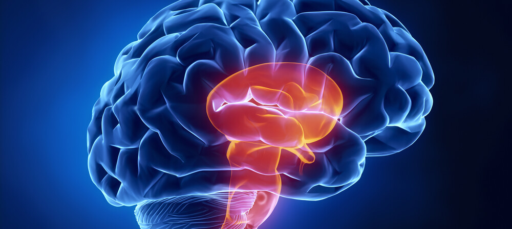 Placebo pain relief works differently across the human body