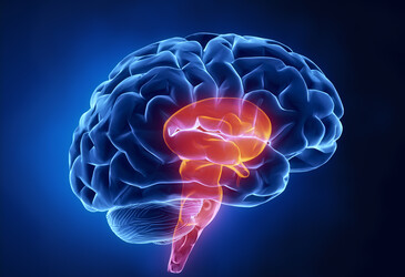 Placebo pain relief works differently across the human body Placebo pain relief works differently across the human body