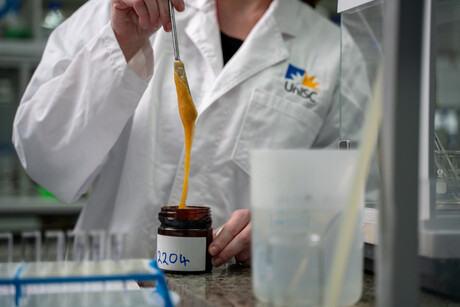 Rapid test finds next Aussie premium honey