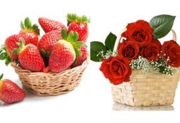 FCR image bank provides precise food cue feedback FCR image bank provides precise food cue feedback