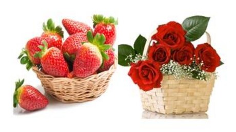 FCR image bank provides precise food cue feedback